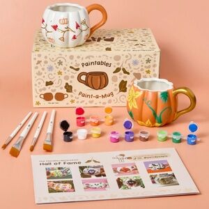 Paint-a-Mug Set - White and Orange